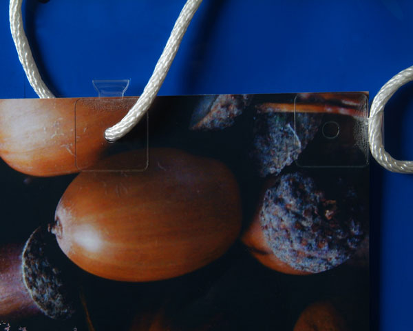 Yellotools BannerWing Clear Anwendung Bannerschlaufe und Bannerloch